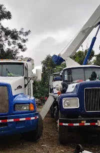 GRUAS ROCA