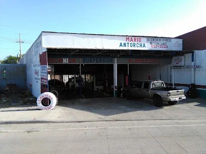 Llantera Winnie Cañas
