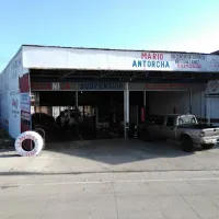 Llantera Winnie Cañas