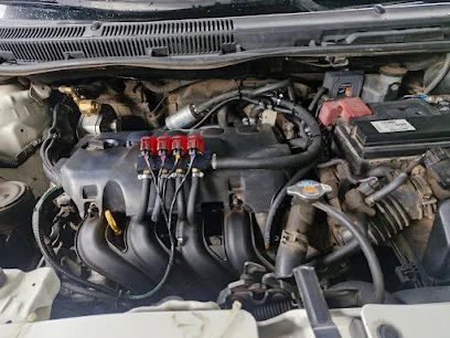 Ecofrank autogas sitemas gas lp vehicular