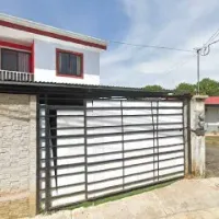 Alineado y tramado Pantera