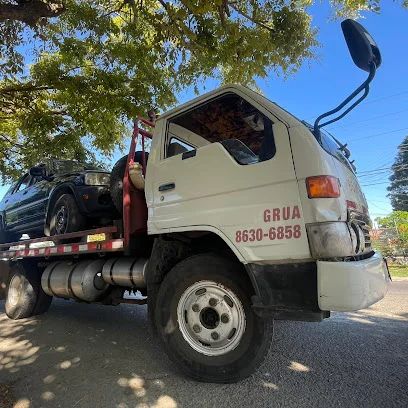 Grua Nicoya Carbura