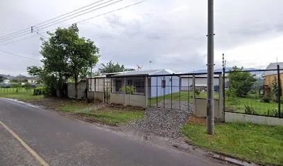 Wolf Tuning Lab CR
