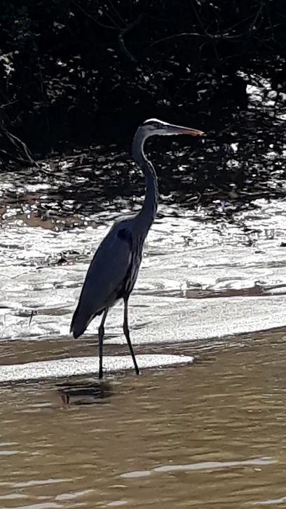 Major Tours Costa Rica