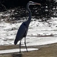 Major Tours Costa Rica