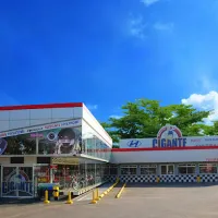 Repuestos Gigante Puntarenas