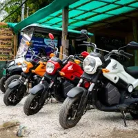 Travel Pura Vida, Tours and Transfers