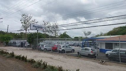 Payless Car Rental