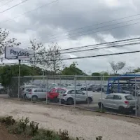 Payless Car Rental