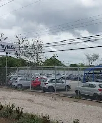 Payless Car Rental